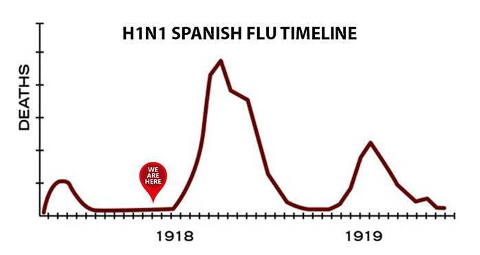 SPANISH H1N1timeline web